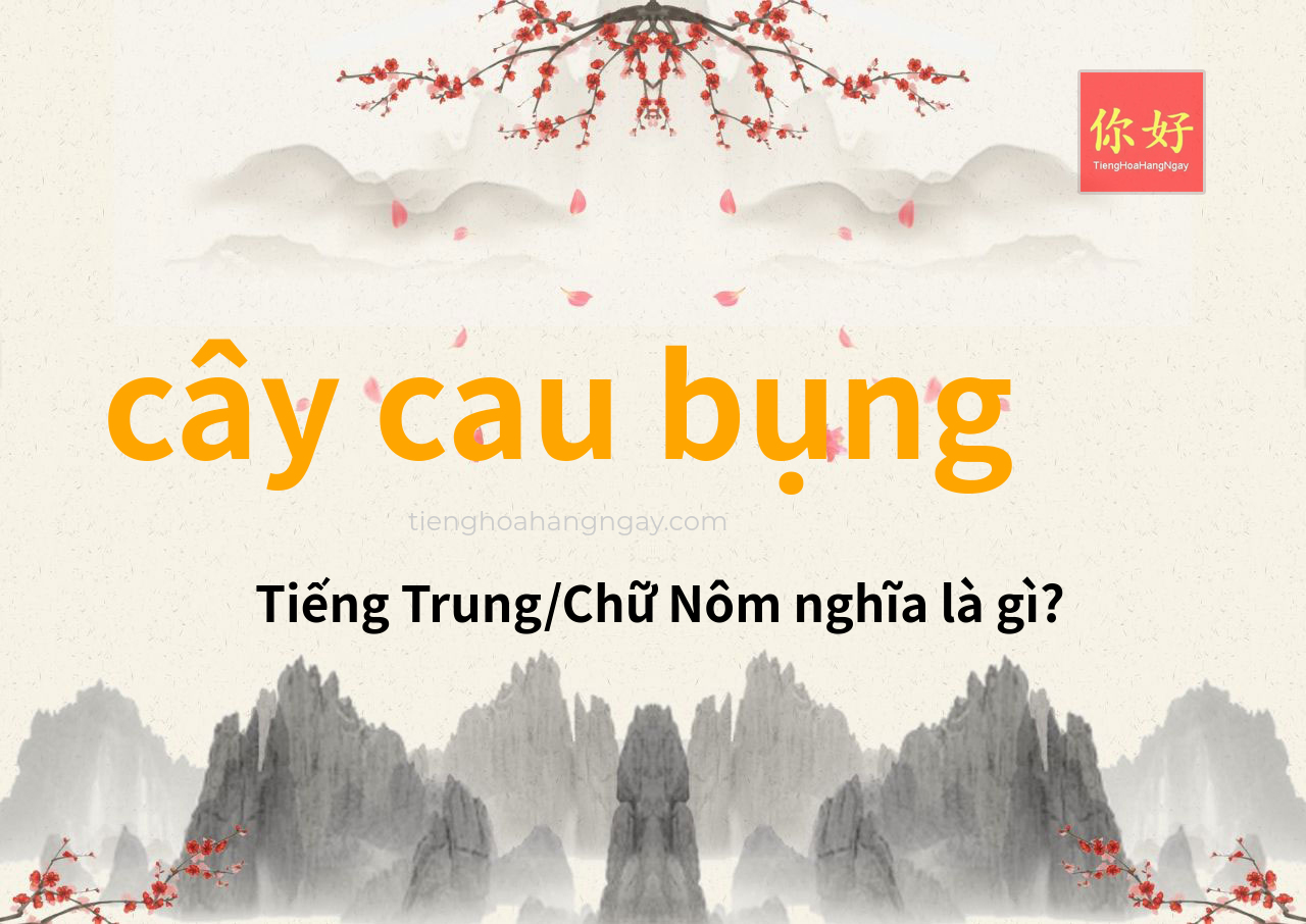 cây cau bụng tiếng Trung là gì?